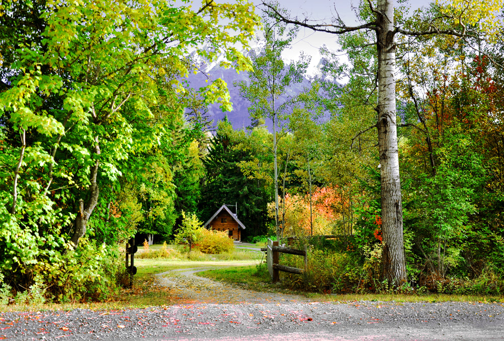 private wilderness log cabin