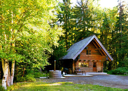 sunlit log cabin