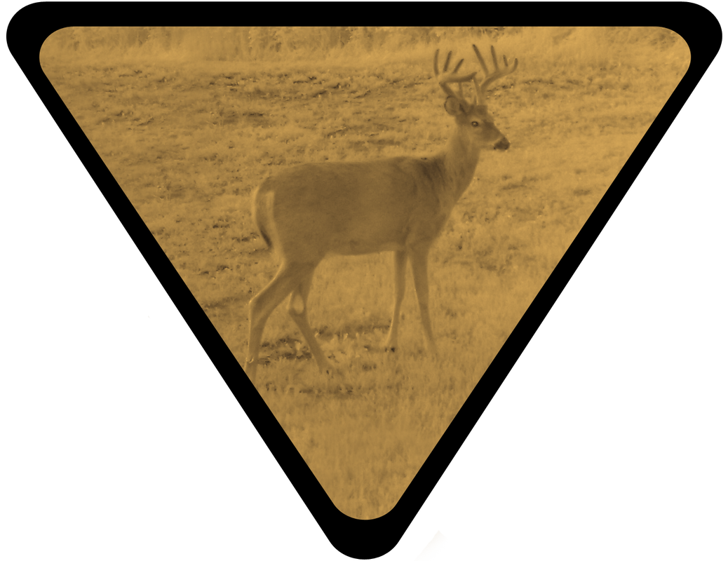 caution wilderness deer